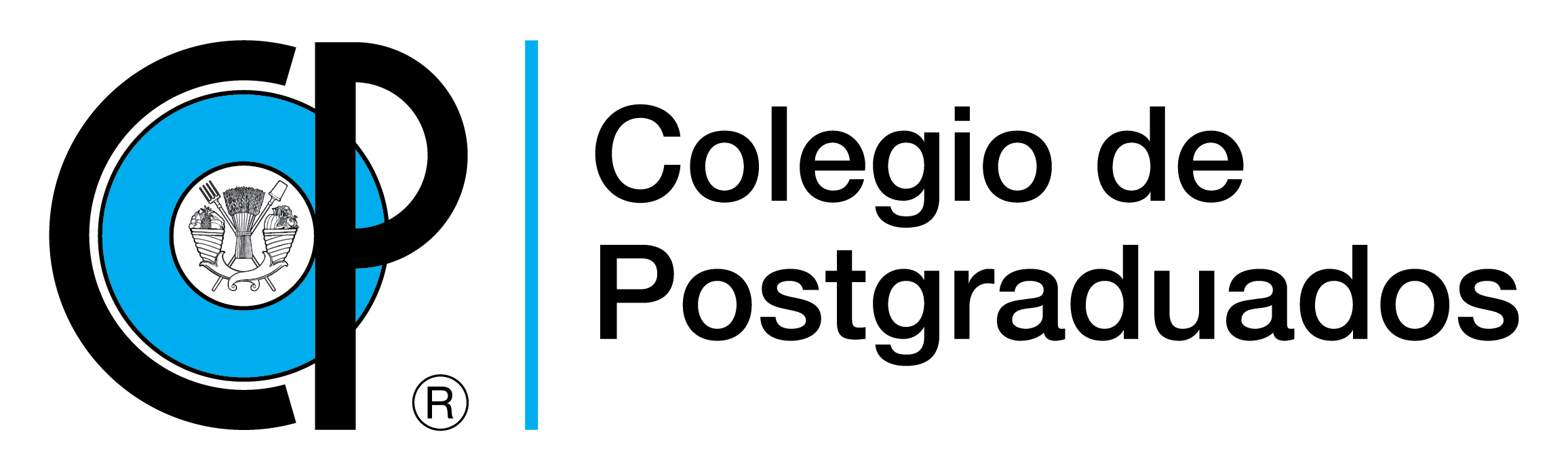 img-28